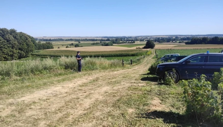 Хроніка інциденту з X-101 у Польщі: від падіння ракети до двох кампаній дезінформації